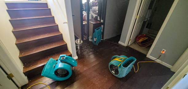 Best Professional water damage repair  in Juneau, AK