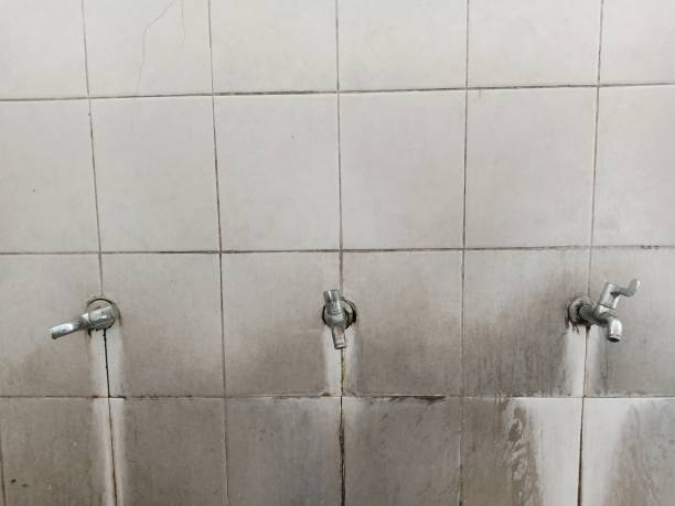Best Flooded house restoration  in Juneau, AK