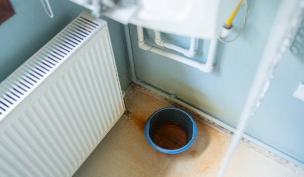Best Carpet water damage restoration  in Juneau, AK